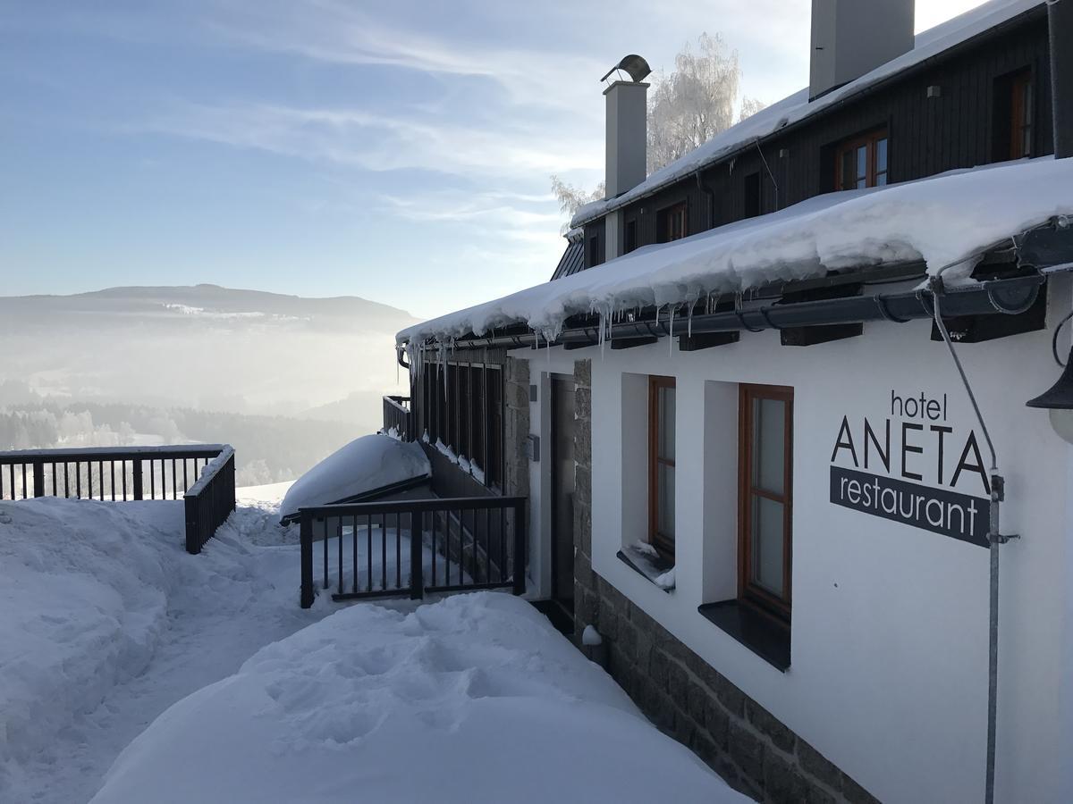 Hotel Aneta & Restaurant 4*