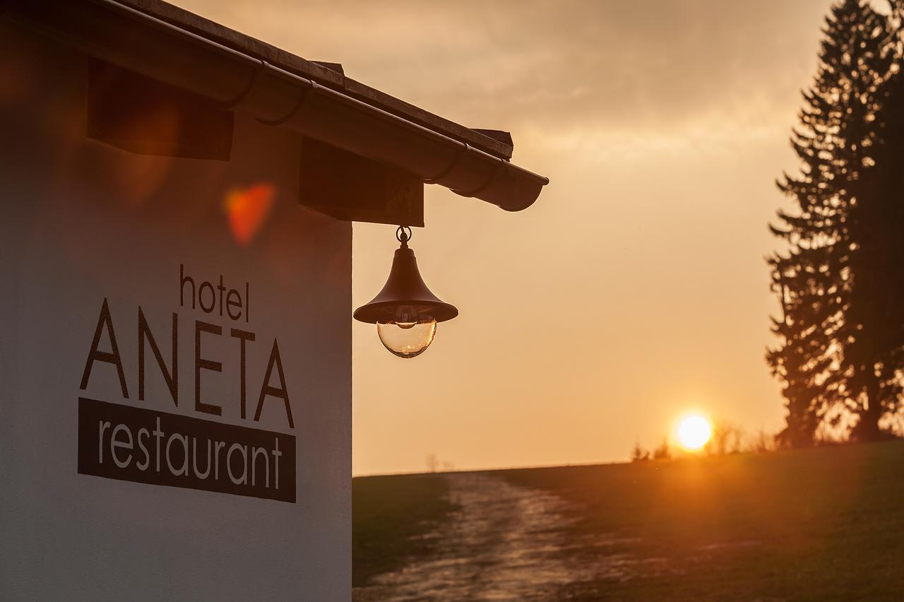 Hotel Aneta & Restaurant 4*