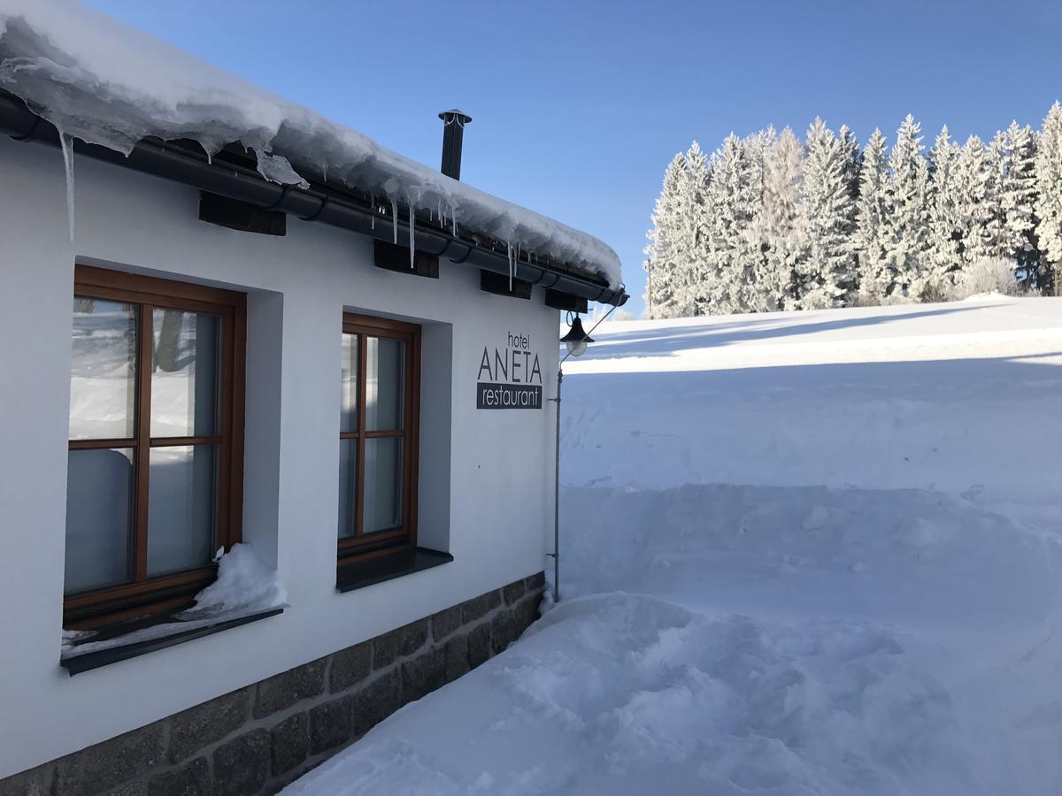 Aneta & Restaurant